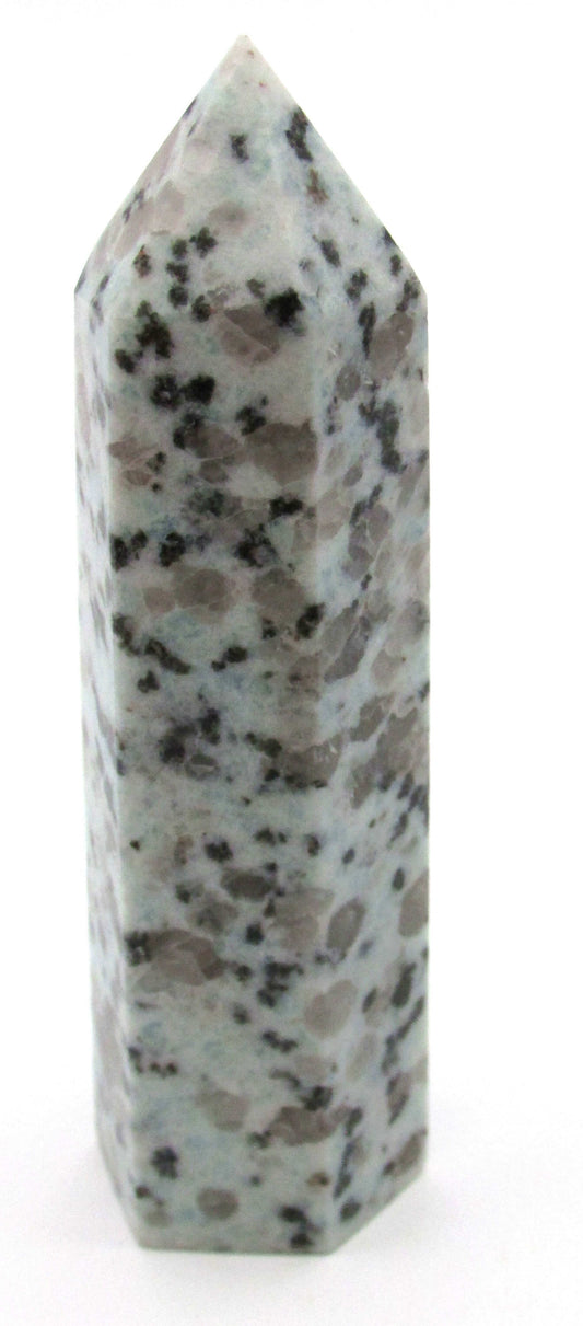 Kiwi Jasper (Sesame Seed Jasper) - Mindset Transformation