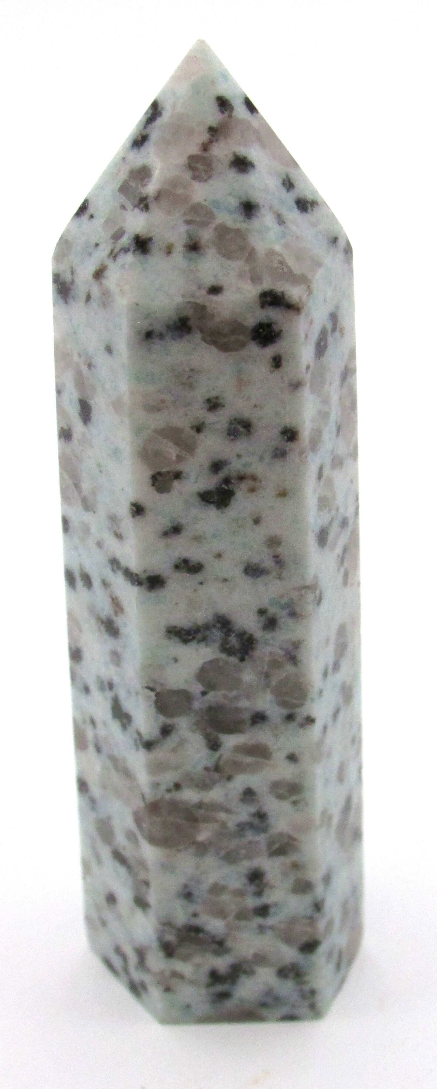 Kiwi Jasper (Sesame Seed Jasper) - Mindset Transformation