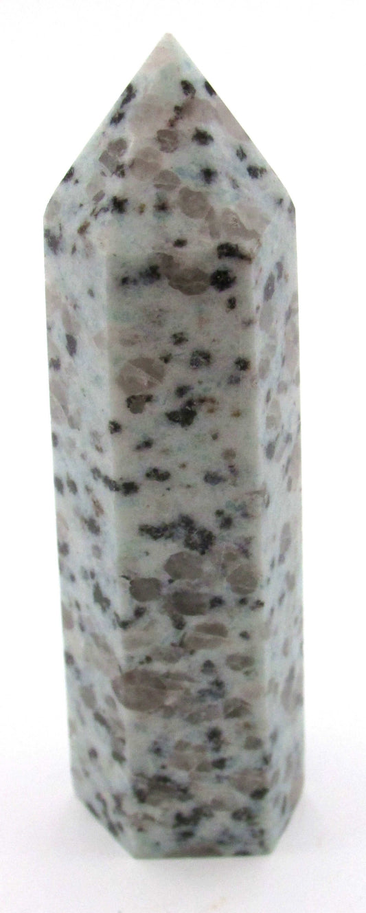 Kiwi Jasper (Sesame Seed Jasper) - Mindset Transformation