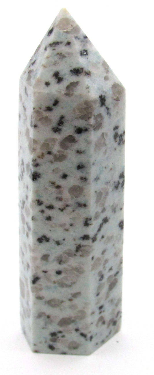 Kiwi Jasper (Sesame Seed Jasper) - Mindset Transformation
