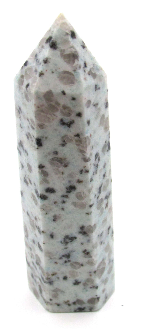 Kiwi Jasper (Sesame Seed Jasper) - Mindset Transformation