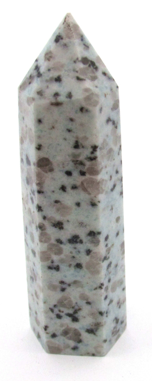 Kiwi Jasper (Sesame Seed Jasper) - Mindset Transformation