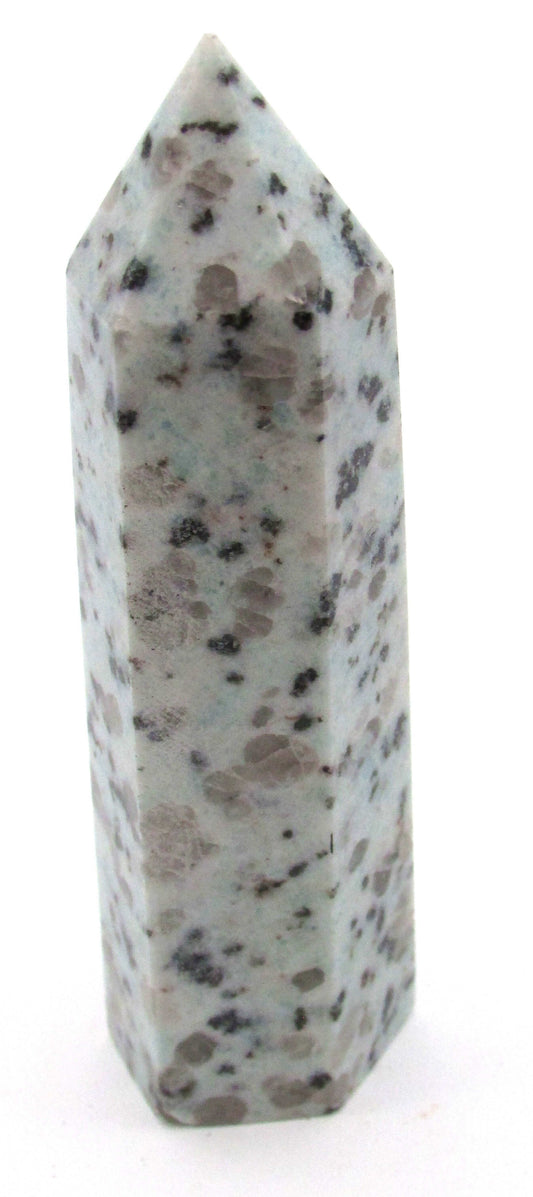Kiwi Jasper (Sesame Seed Jasper) - Mindset Transformation