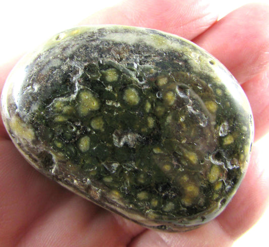 Ocean Jasper - Stone of Joy & Conscious Awareness