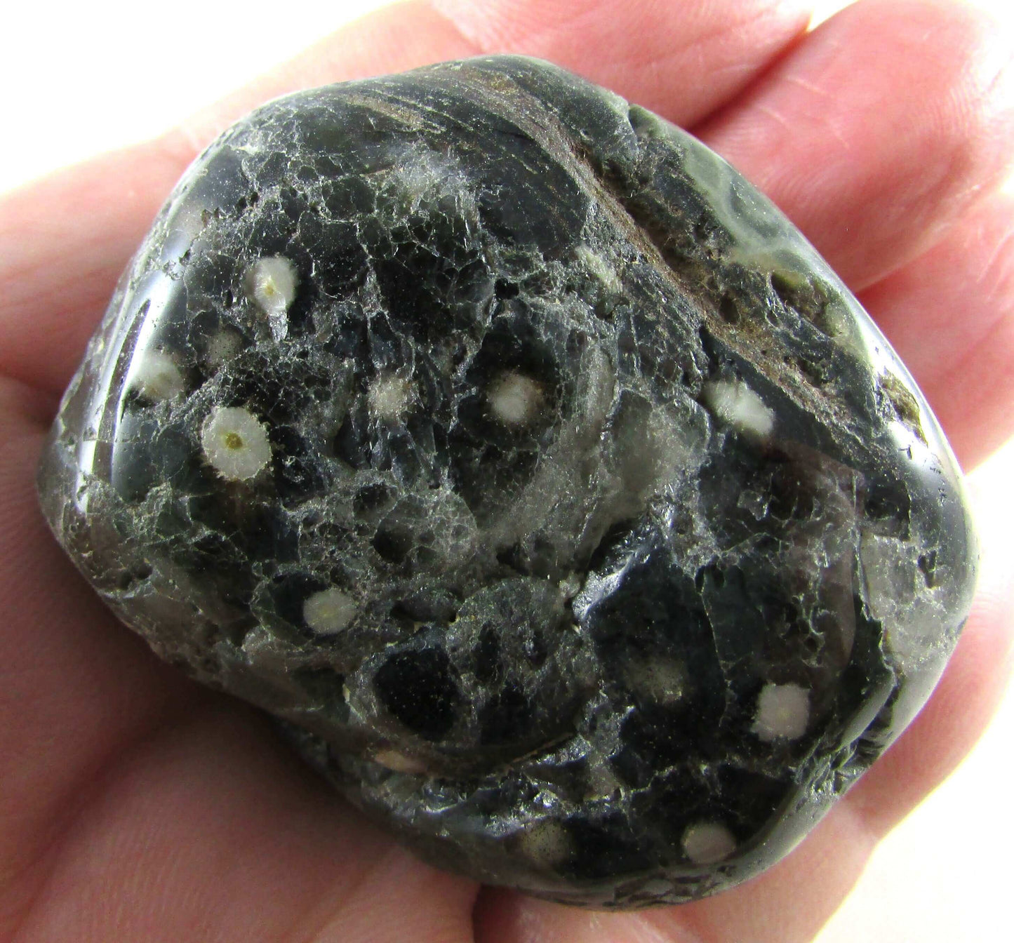Ocean Jasper - Stone of Joy & Conscious Awareness
