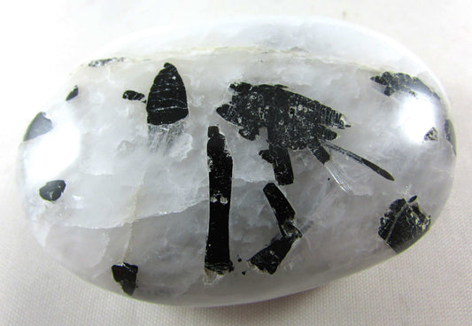 Tourmalinated Quartz - Stone of Shadow Work & Protection