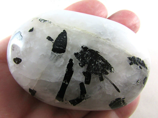 Tourmalinated Quartz - Stone of Shadow Work & Protection