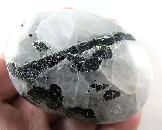 Tourmalinated Quartz - Stone of Shadow Work & Protection