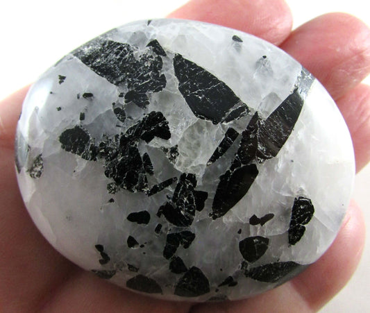 Tourmalinated Quartz - Stone of Shadow Work & Protection