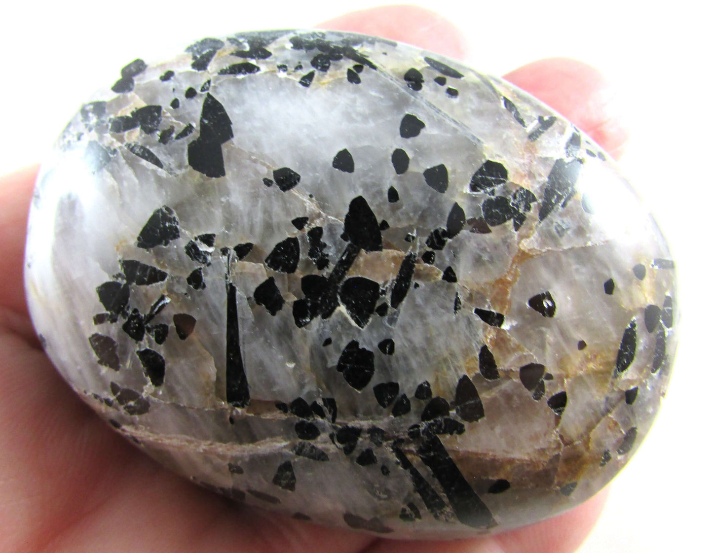 Tourmalinated Quartz - Stone of Shadow Work & Protection
