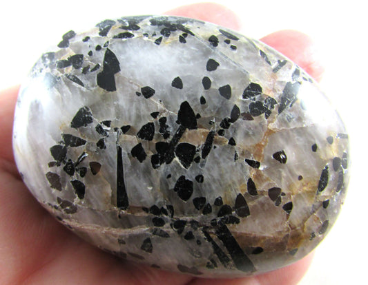 Tourmalinated Quartz - Stone of Shadow Work & Protection