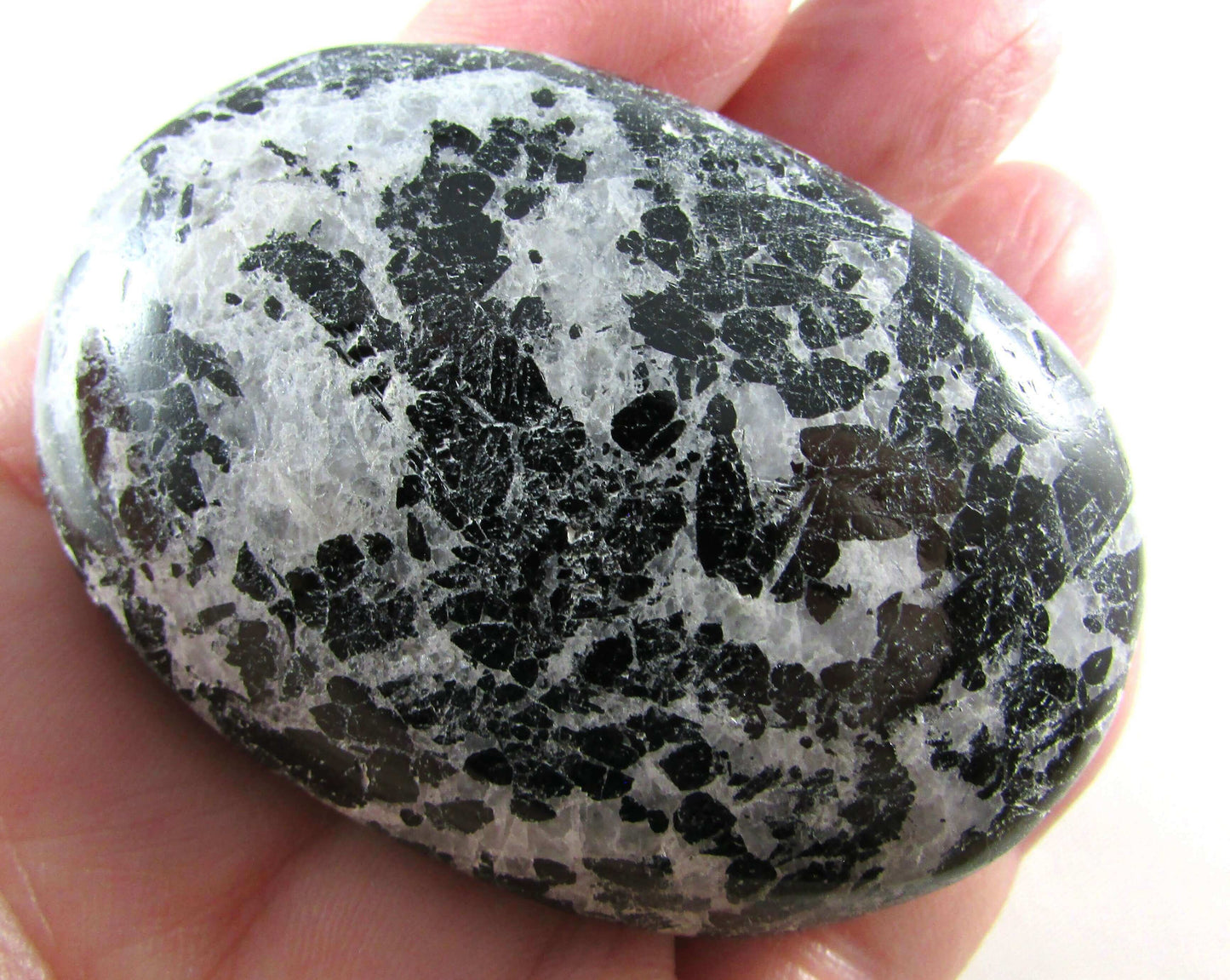 Tourmalinated Quartz - Stone of Shadow Work & Protection
