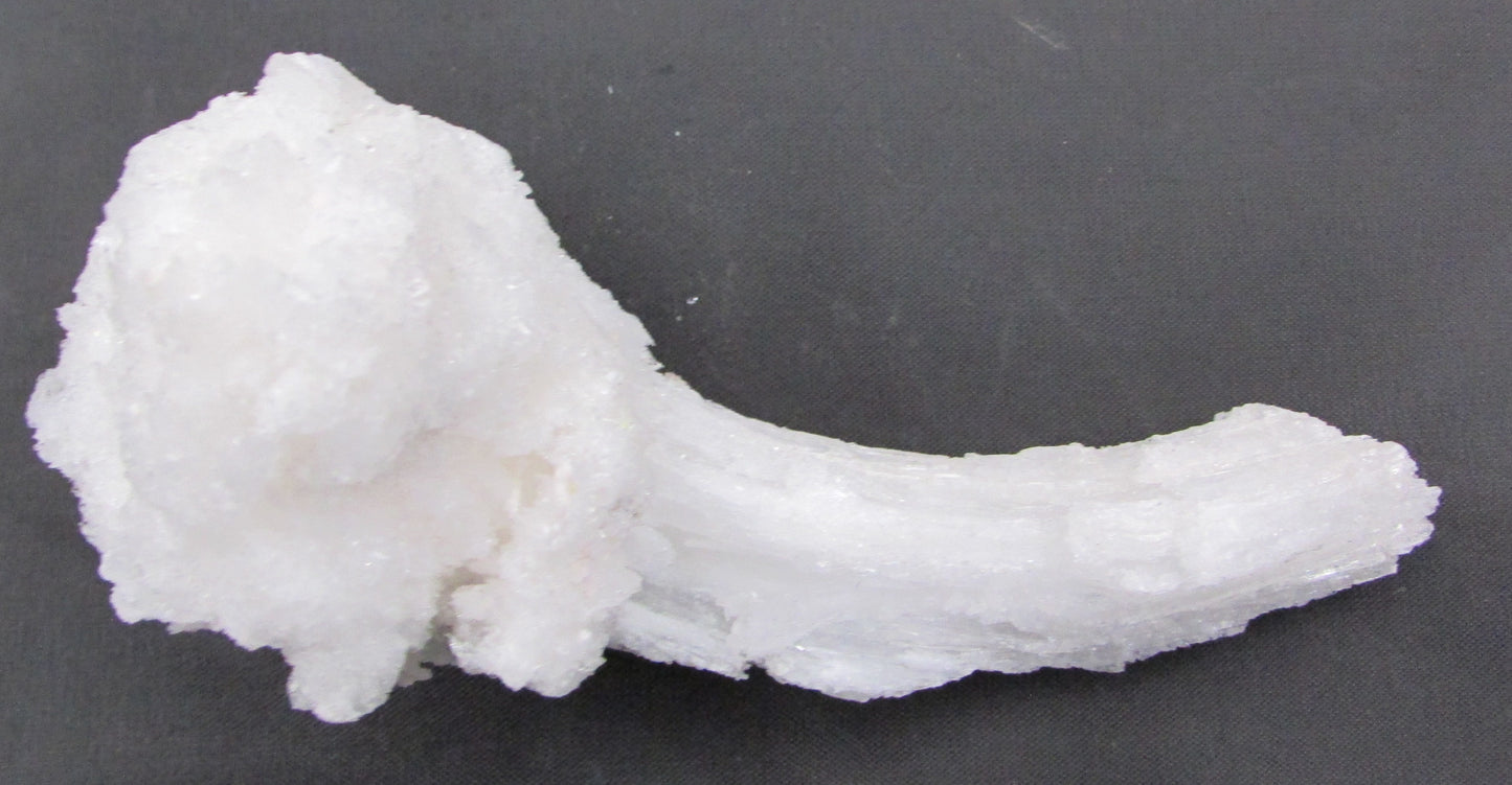 Ram's Horn Selenite - Stone of Spiritual Activation & Transformation