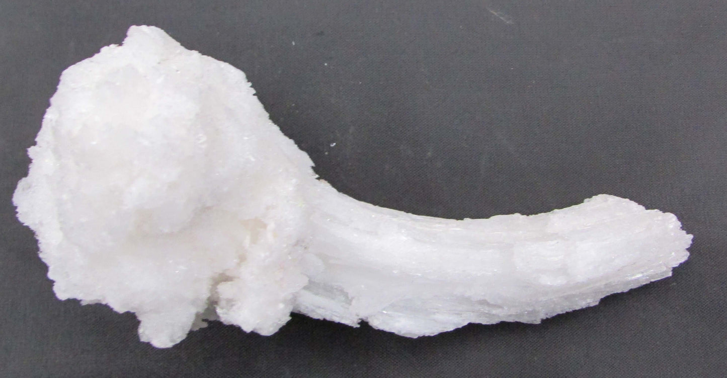 Ram's Horn Selenite - Stone of Spiritual Activation & Transformation