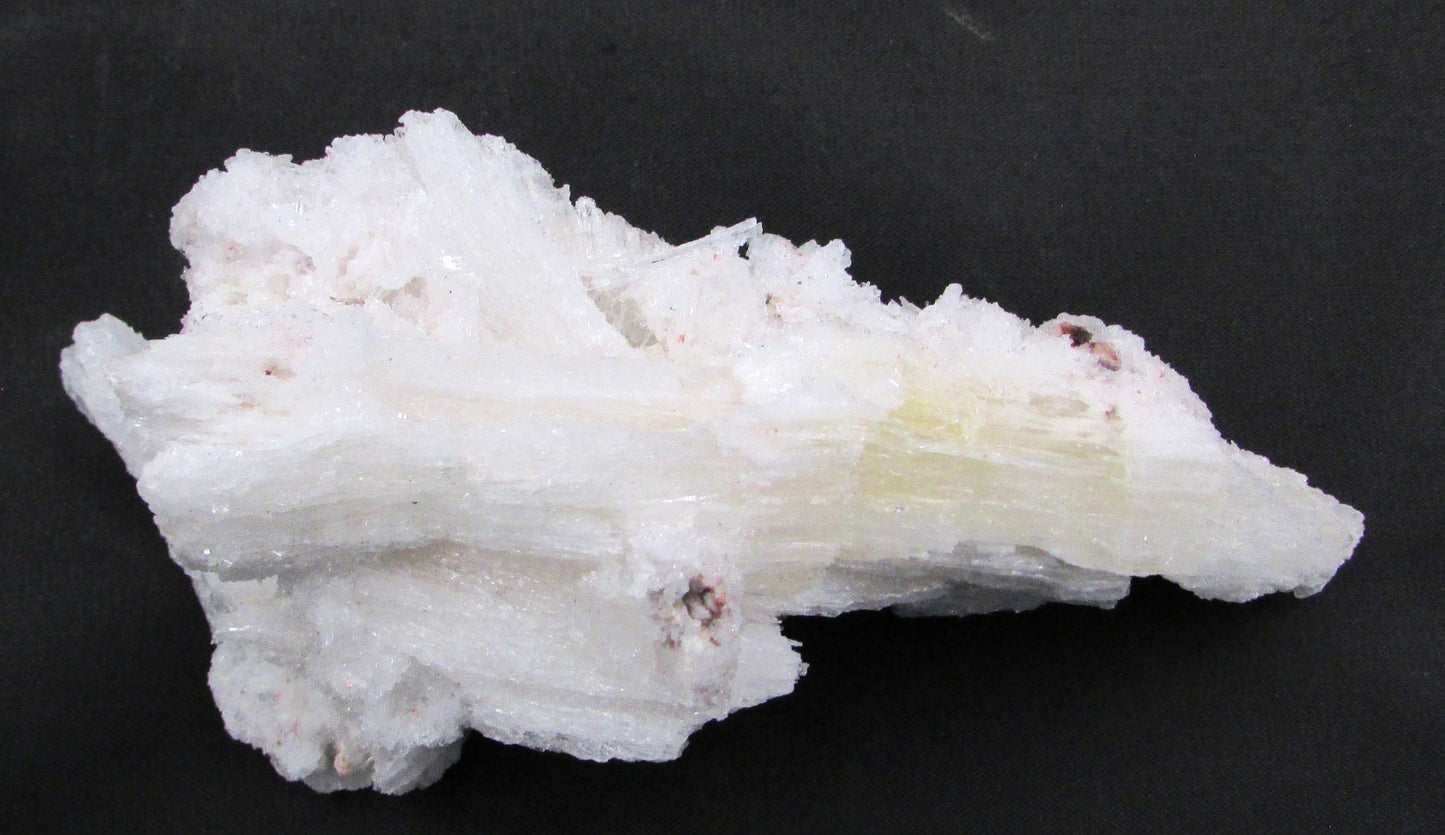 Ram's Horn Selenite - Stone of Spiritual Activation & Transformation