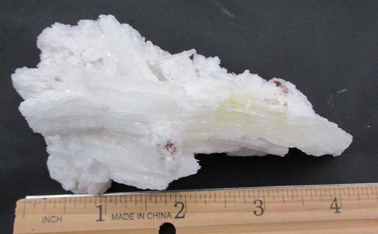 Ram's Horn Selenite - Stone of Spiritual Activation & Transformation