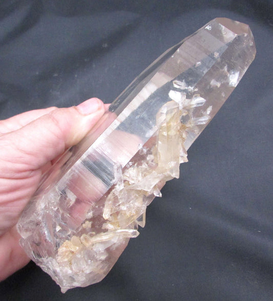 Pink “Rainbow” Starbrary Window Barnacle Generator Lemurian