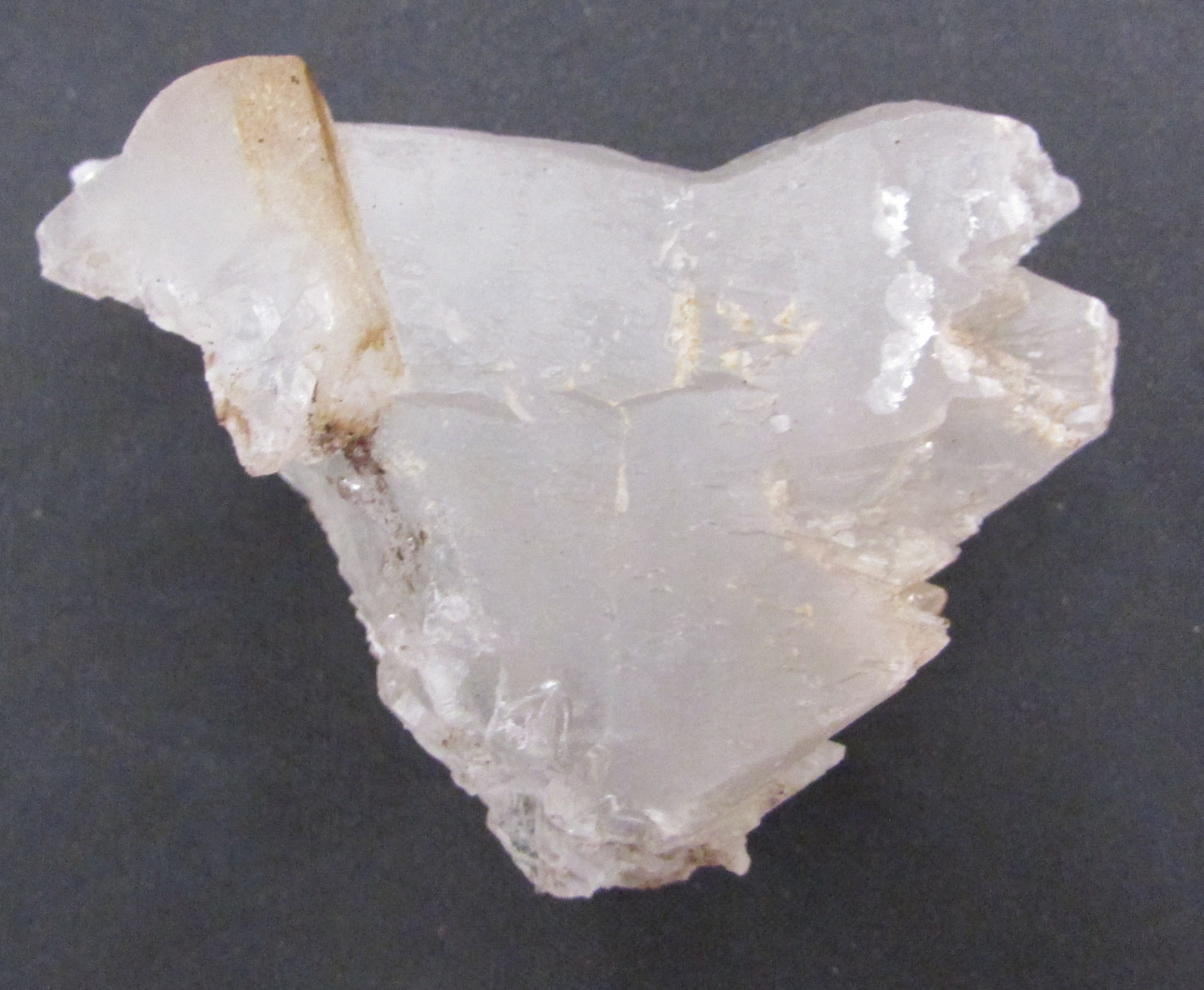 Angel Wing Selenite – Stone of Spirit, Angelic Connection & Renewal