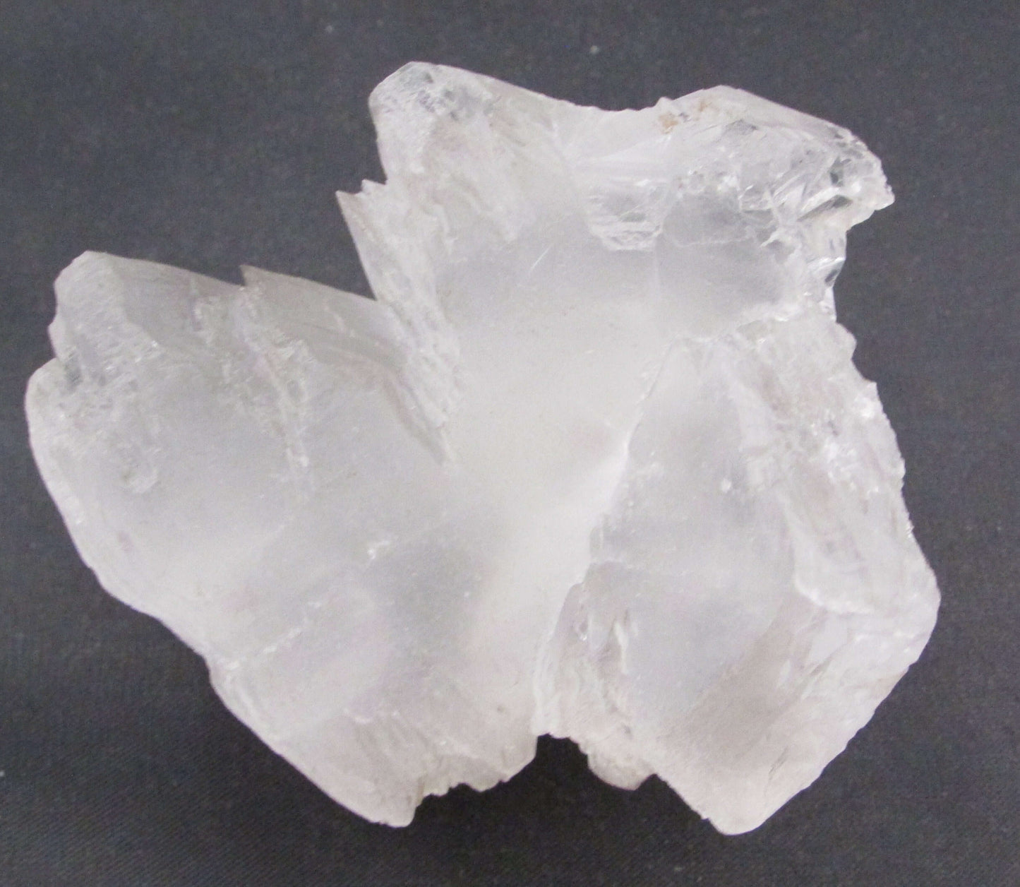 Angel Wing Selenite – Stone of Spirit, Angelic Connection & Renewal