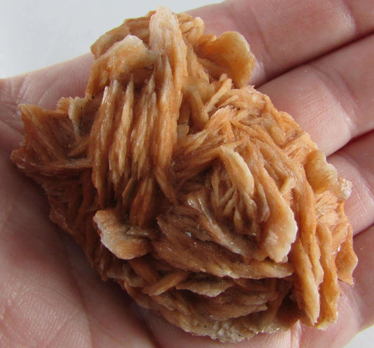 Rose Barite - Inner Vision and Energy Detoxification