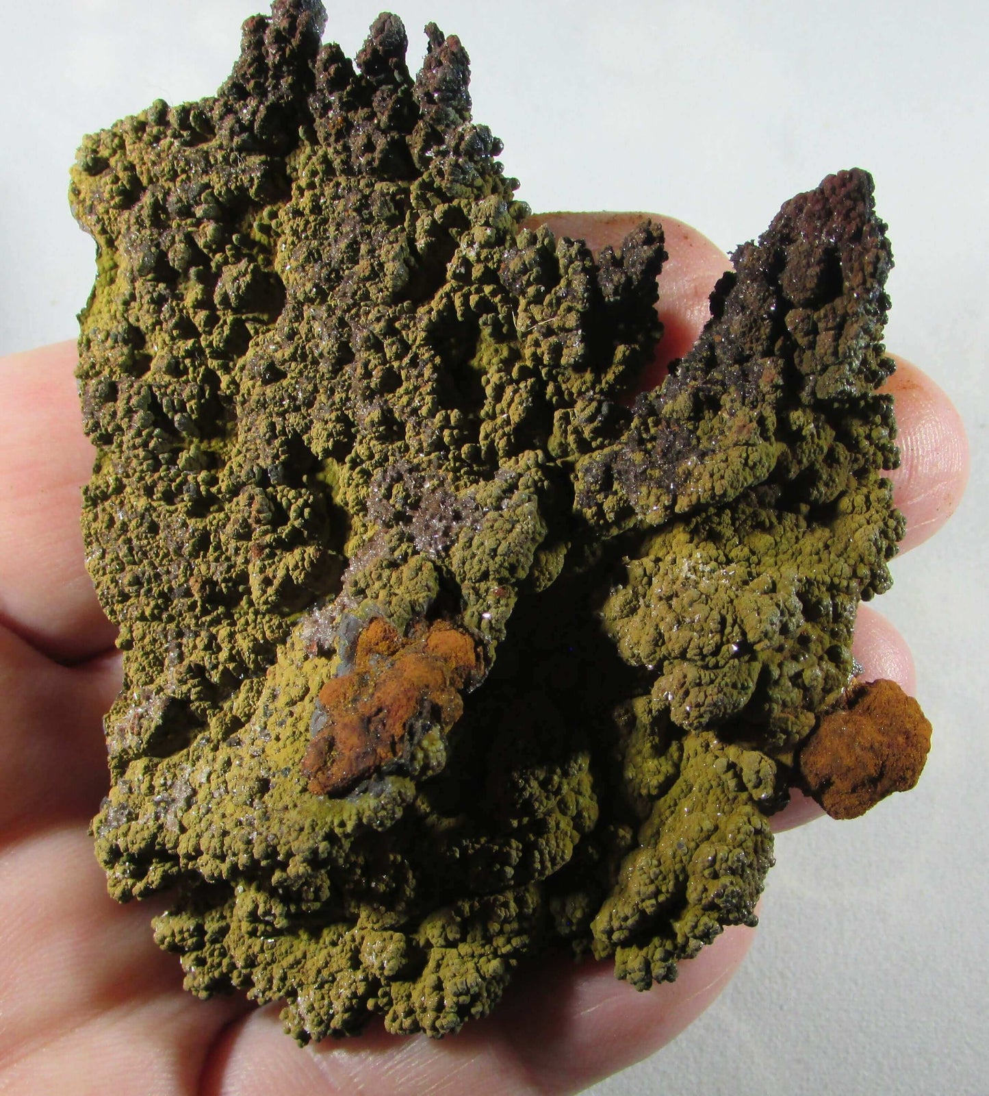 Goethite Mineral - Journey of Life & Akashic Records