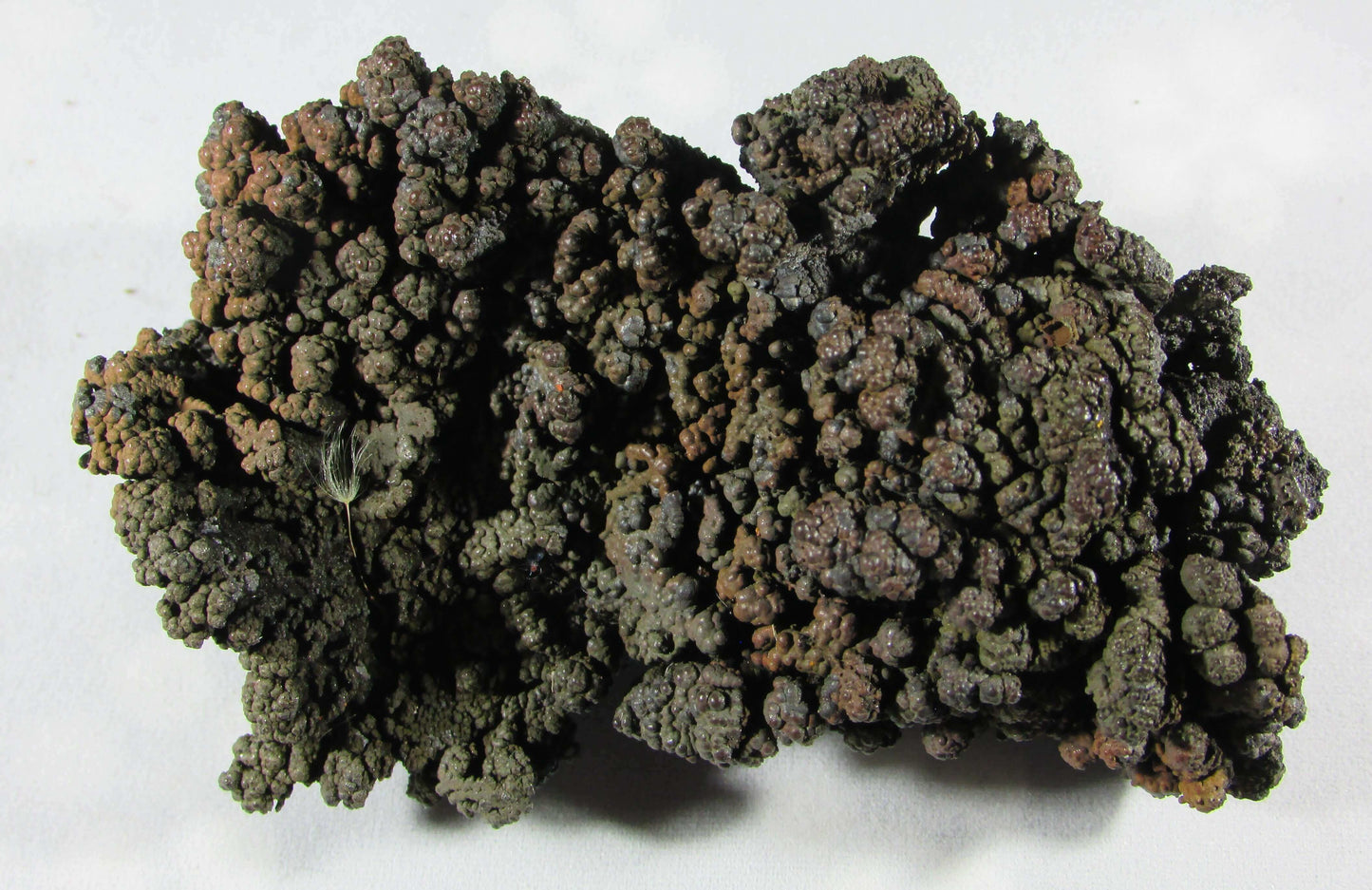 Goethite Mineral - Journey of Life & Akashic Records