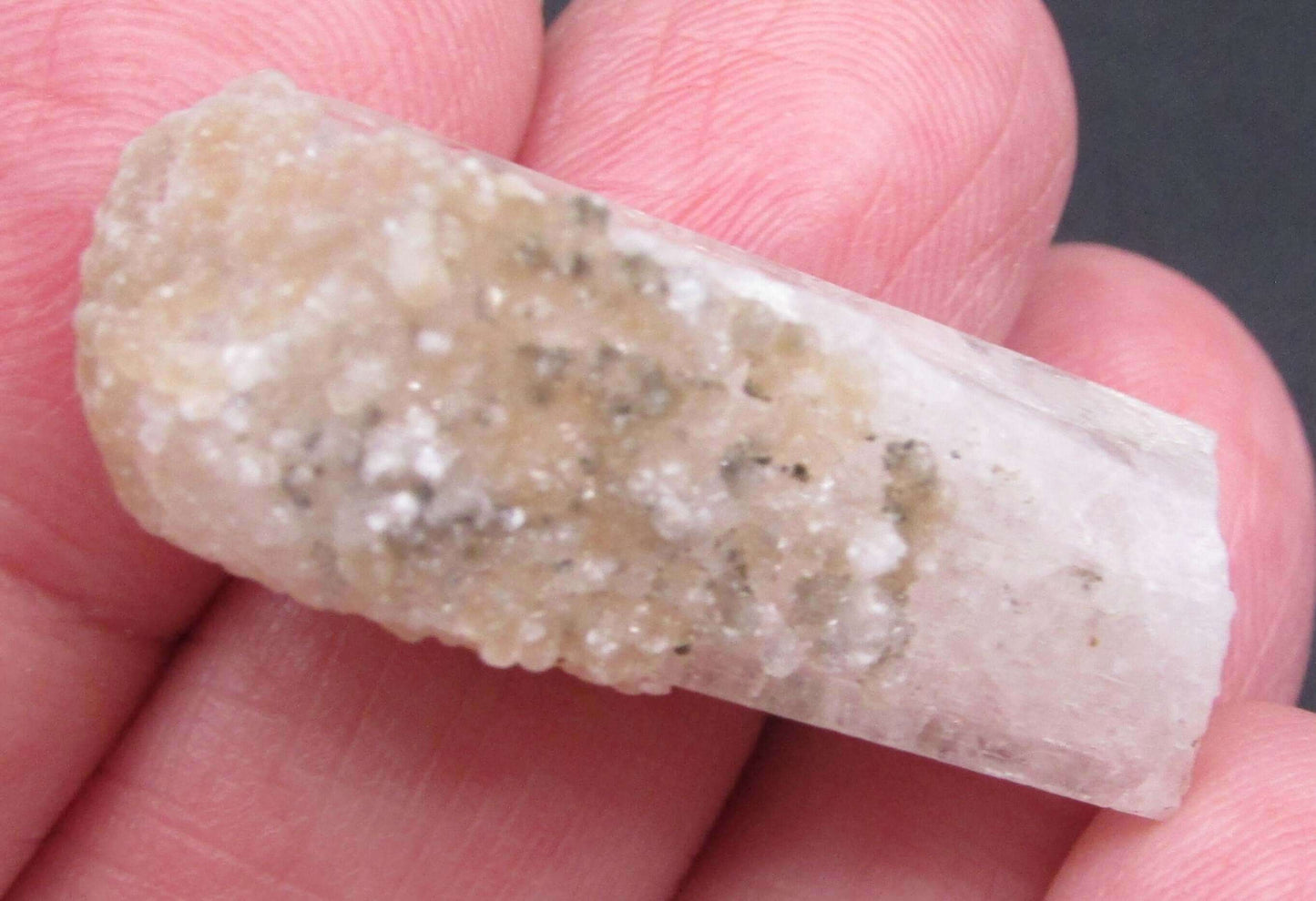 Natural Terminated Danburite Crystal Point Mexico mineral crystals