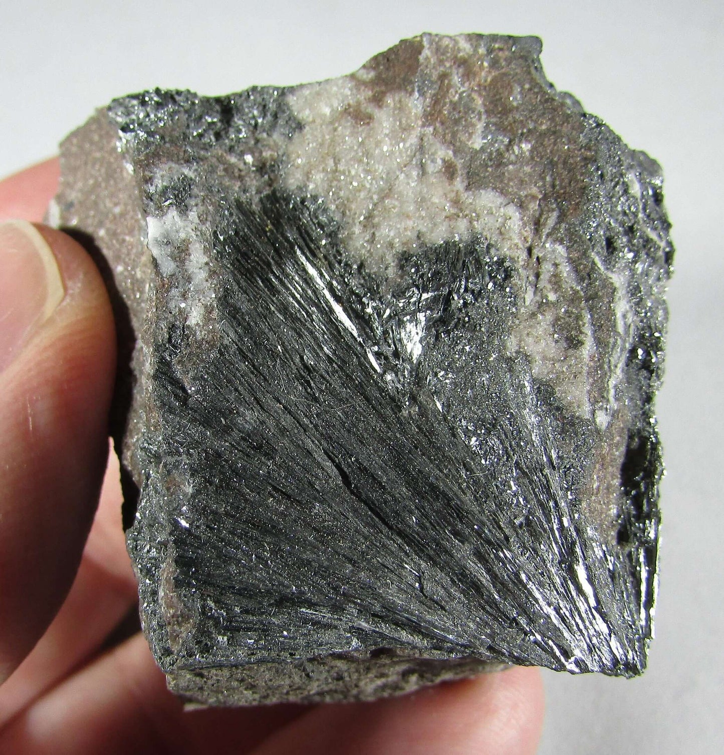 Pyrolusite Manganese Matrix - Transformation Crystal