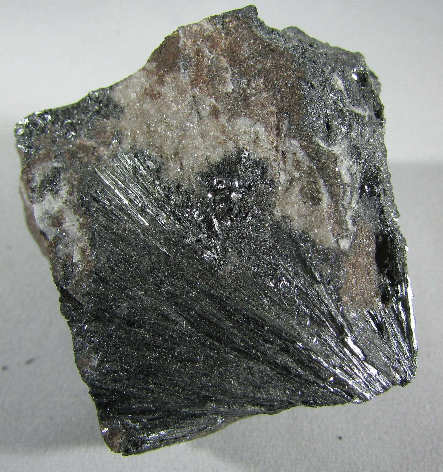 Pyrolusite Manganese Matrix - Transformation Crystal