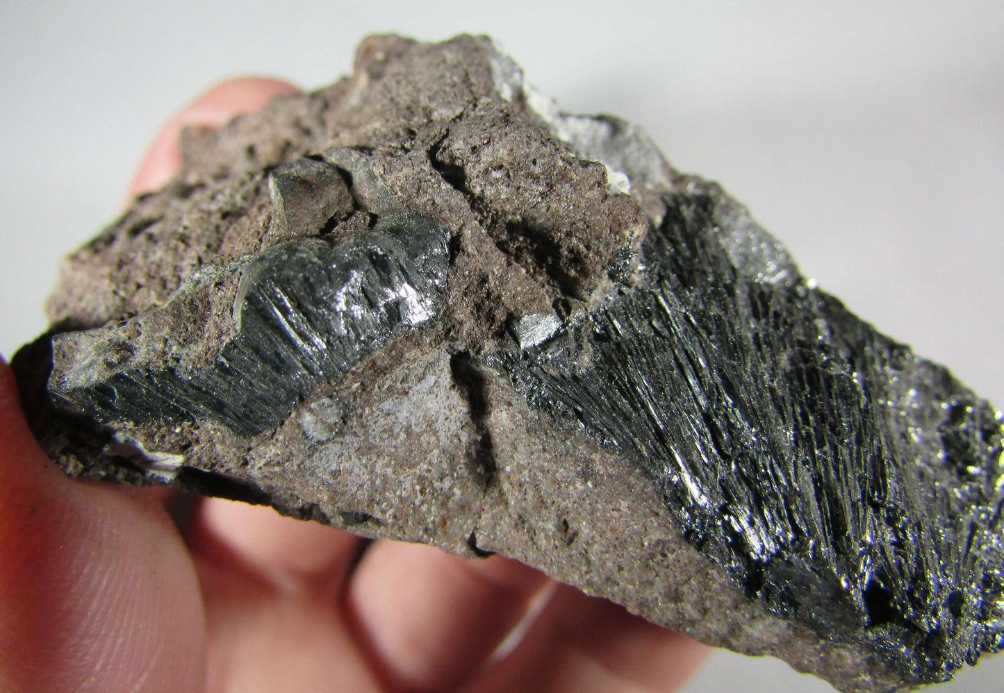 Pyrolusite Manganese Matrix - Transformation Crystal