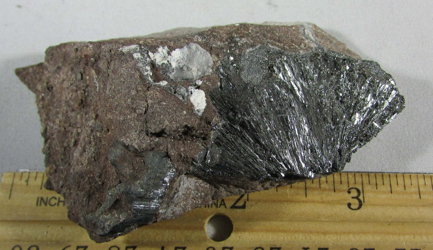 Pyrolusite Manganese Matrix - Transformation Crystal
