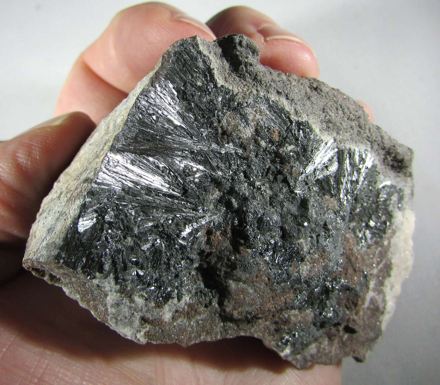 Pyrolusite Manganese Matrix - Transformation Crystal