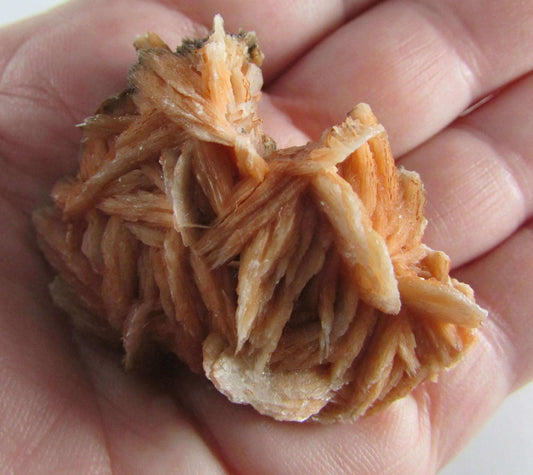 rose barite, desert rose barite crystal cluster, morocco