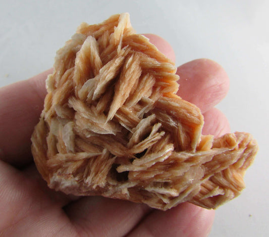 rose barite, desert rose barite crystal cluster, morocco