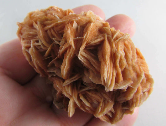rose barite, desert rose barite crystal cluster, morocco