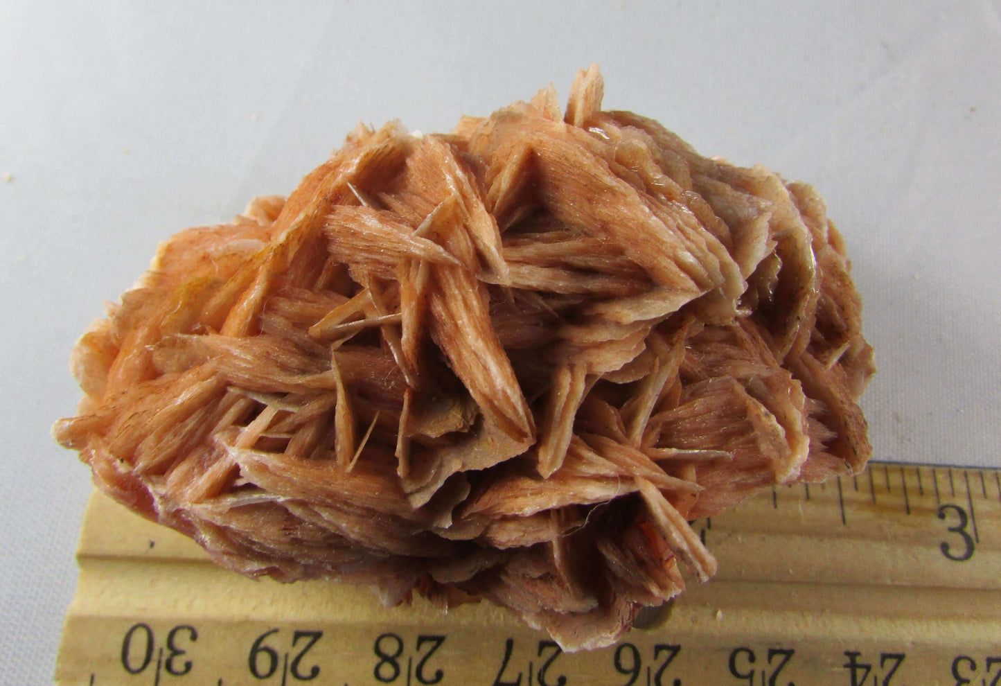 rose barite, desert rose barite crystal cluster, morocco