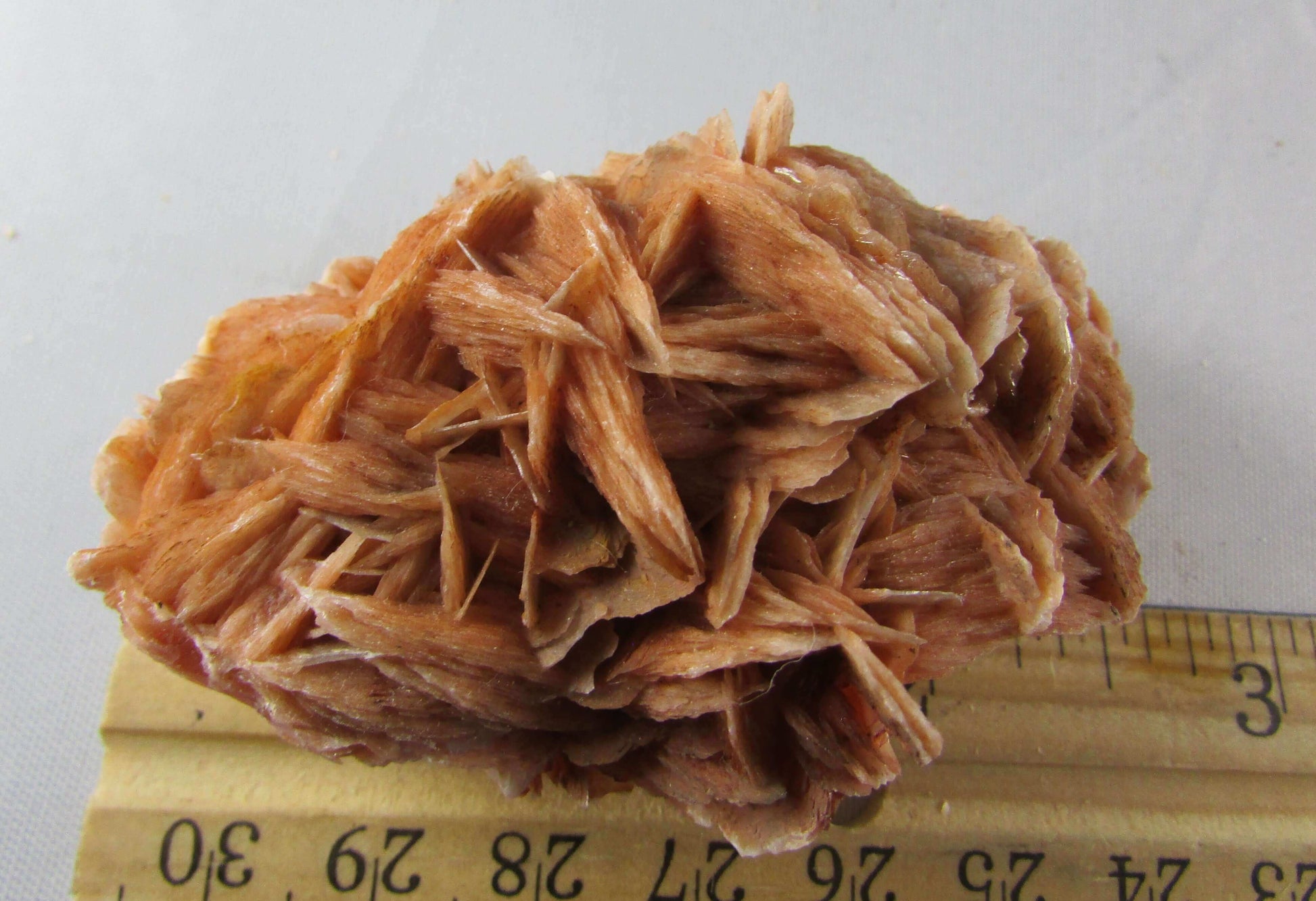 rose barite, desert rose barite crystal cluster, morocco