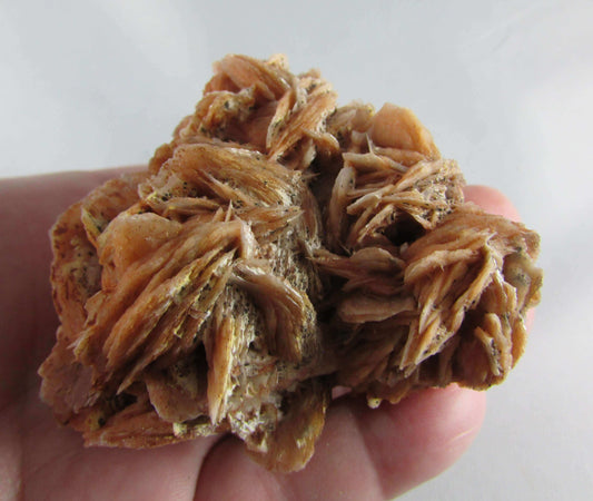 rose barite, desert rose barite crystal cluster, morocco