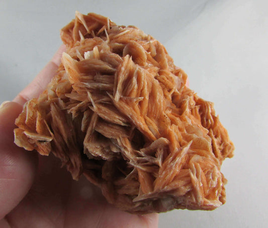 rose barite, desert rose barite crystal cluster, morocco