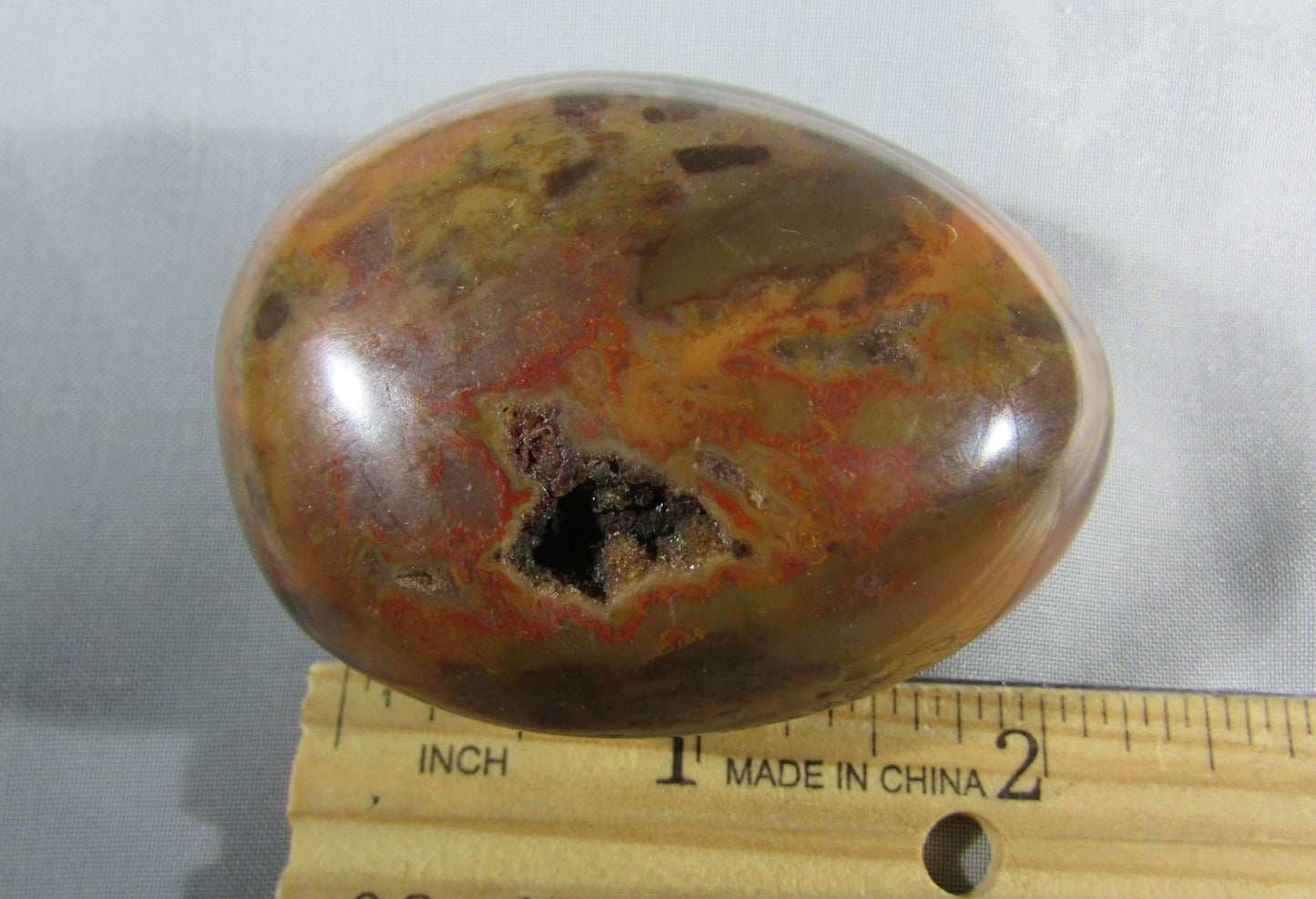 petrified wood polished palmstonel, genuine petrified wood