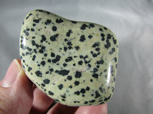 dalmatian jasper, natural crystal palmstone, touchstone