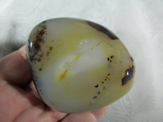 tree agate, natural polished agate crytsal palmstone