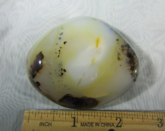 tree agate, natural polished agate crytsal palmstone