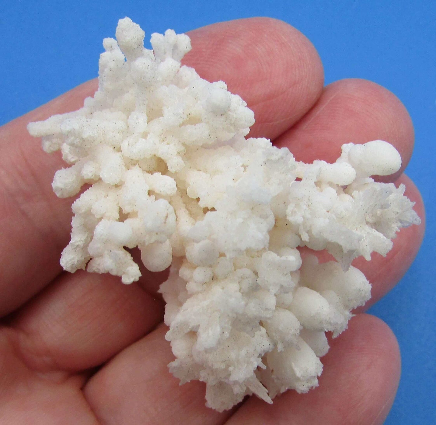 Cave Aragonite Cluster, Mineral Specimen Morocco