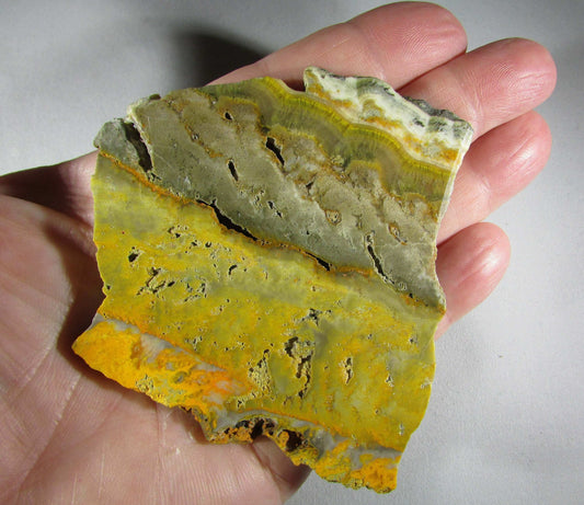bumble bee jasper, bumblebee jasper, genuine jasper