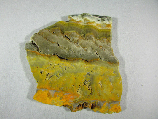 bumble bee jasper, bumblebee jasper, genuine jasper