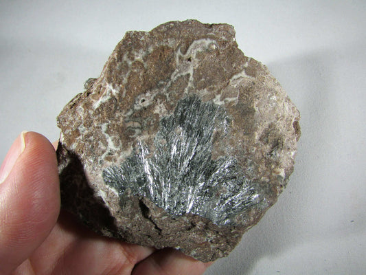 Pyrolusite Manganese Matrix - Transformation Crystal