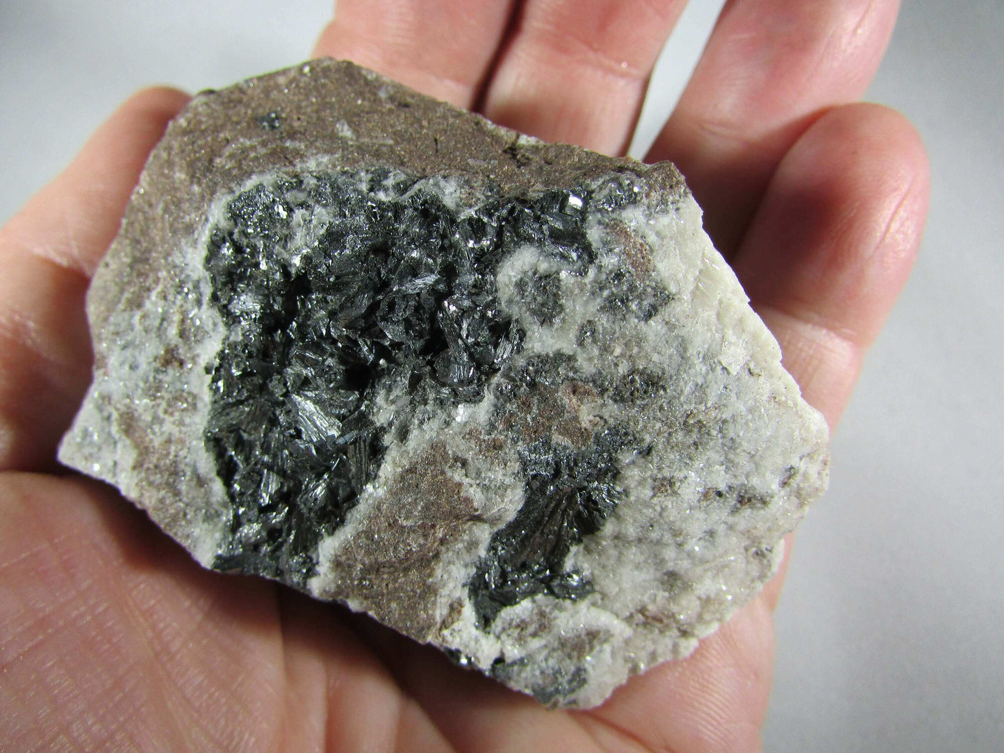 Pyrolusite Manganese Matrix - Transformation Crystal