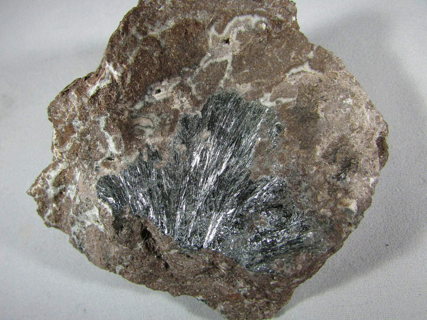 Pyrolusite Manganese Matrix - Transformation Crystal