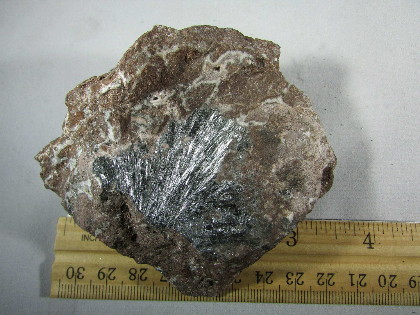 Pyrolusite Manganese Matrix - Transformation Crystal